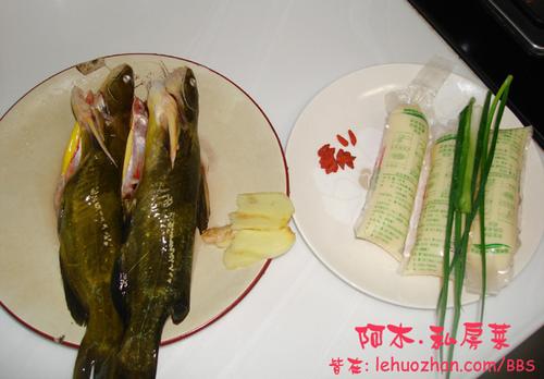 �ƹ����˶���������