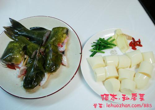 �ƹ����˶���������