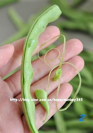 ���������ļ���������