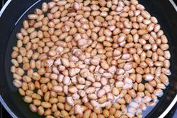 �ϴ׻�����������������