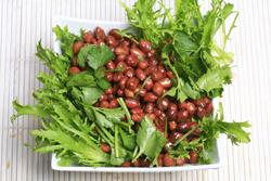 �ϴ׻�����������������