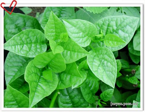 �س�ľ���˵�����