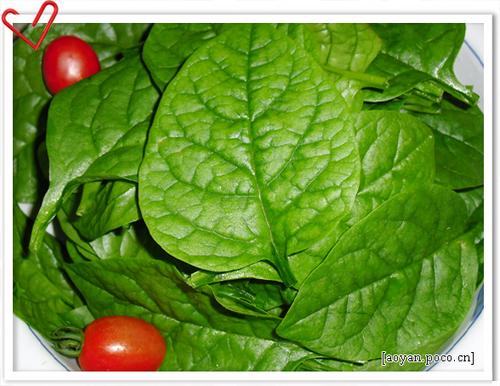 �س�ľ���˵�����