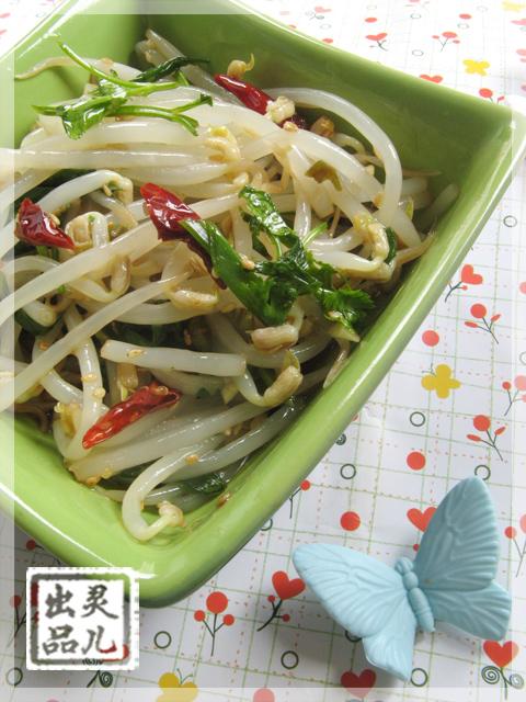 �����̶�ѿ������