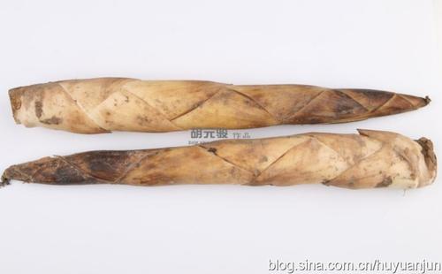 ���Ĺ������㹽������