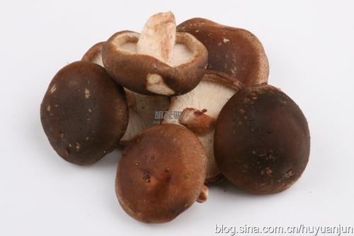 ���Ĺ������㹽������