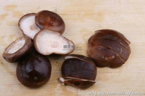 ���Ĺ������㹽������