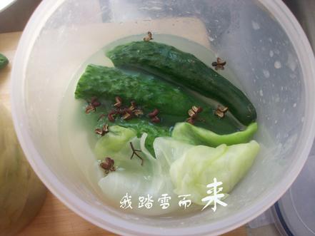 ��ʽ����˺���ƹϵ�����