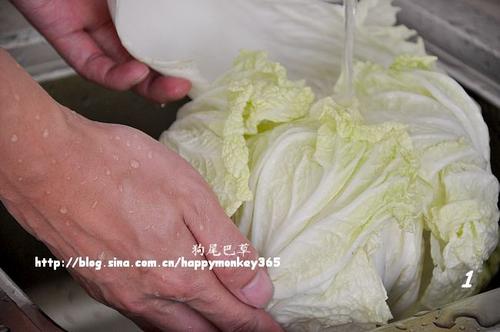 �������ײ˵�����