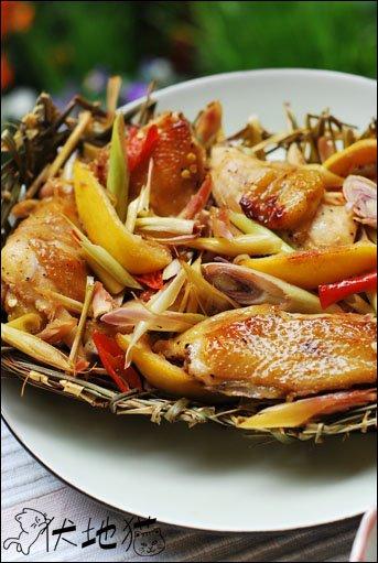 ��é�ݿ𼦵�����