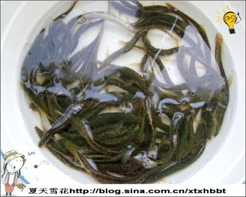 ɳ������������������