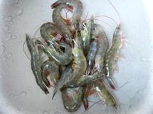 虾仁芋头煲的做法