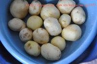 ����С�����ͽ���С����������