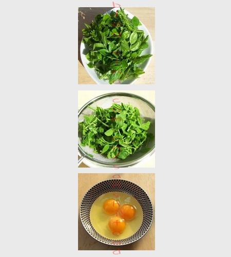 ����ѿ������������