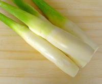 �������˿������