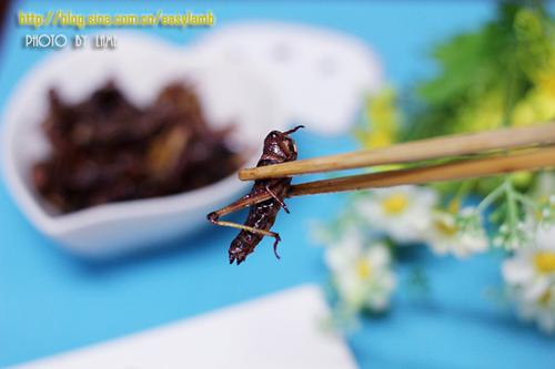 油炸蚂蚱的做法