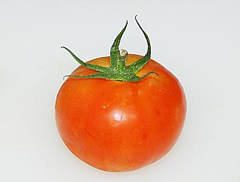 ���ѻƹ�ɫ��������