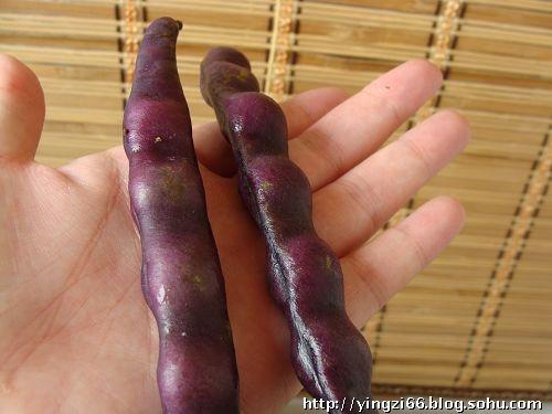 ��˿�����ǵ�����