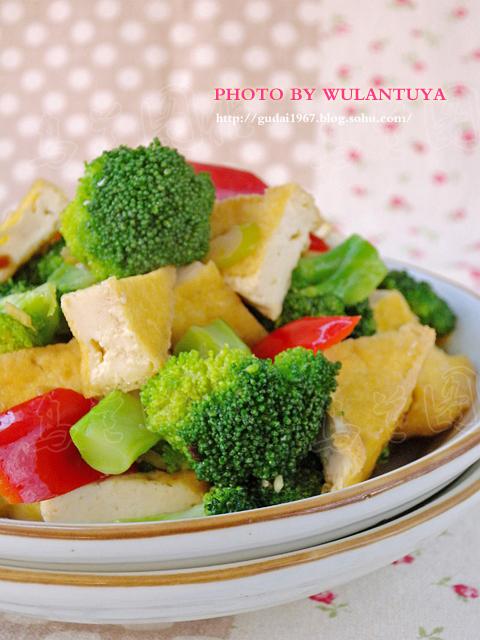 �������Ͷ���������