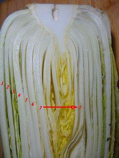 五花肉粉丝炖白菜的做法