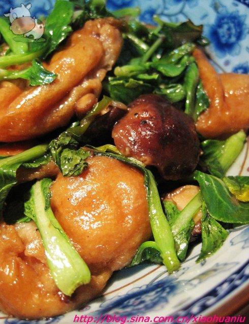 С�Ͳ˻��㹽��������