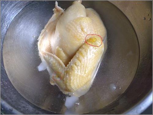 ��ζ��ն��������