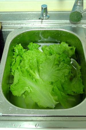 �������˵�����