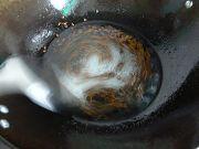 ��֭ƻ��������