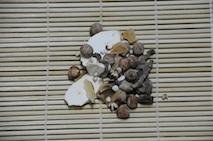 �����н�Ѽ������