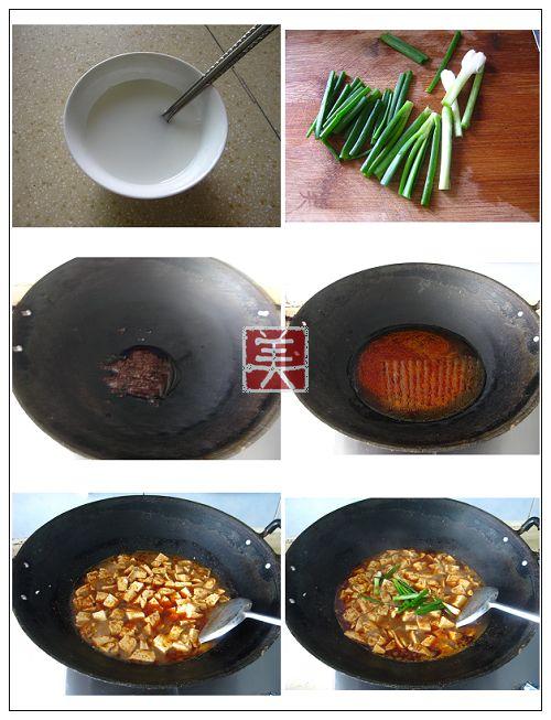 ���������Ŷ���������