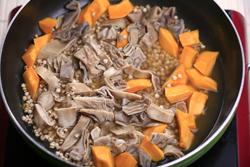 �����Ϲ�������������