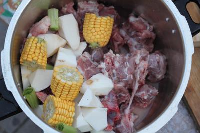 ����ɽҩ�Ź���������