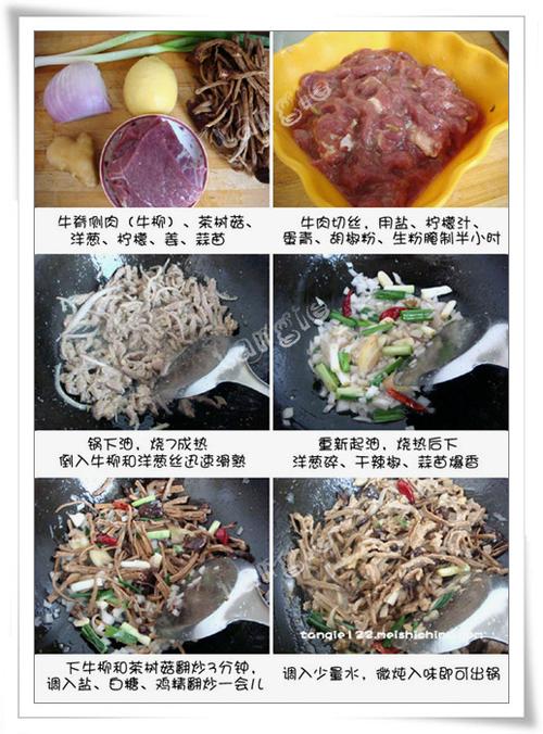 ��������ţ�������