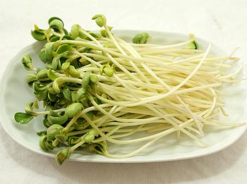 ��ʽ����������������