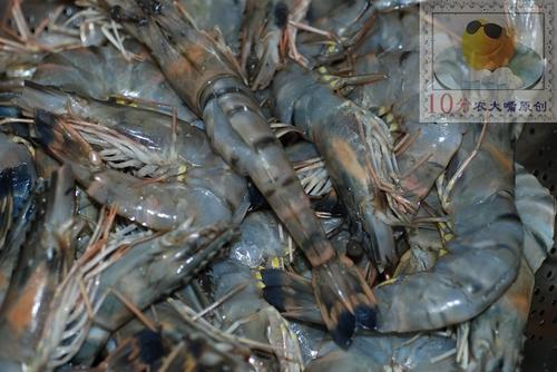 ������Ϻ������