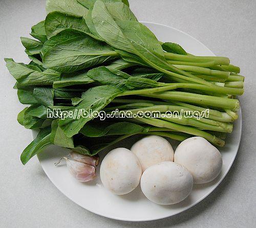 ��Ģ�ǲ��ĵ�����