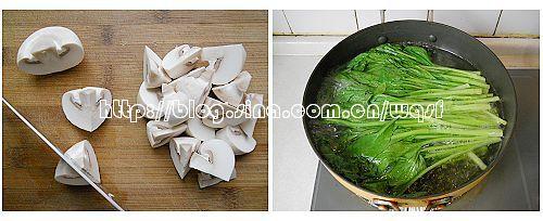 ��Ģ�ǲ��ĵ�����