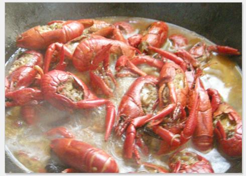 ������Ϻ������