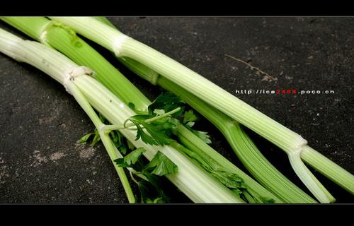 �۲�Ͳ��ţ�������