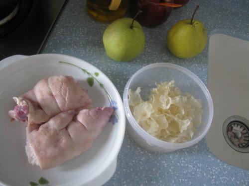 ����ѩ��������������