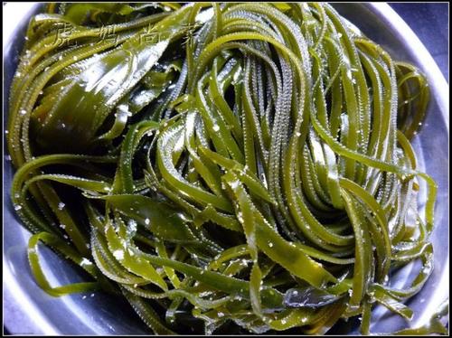 ������������˿������