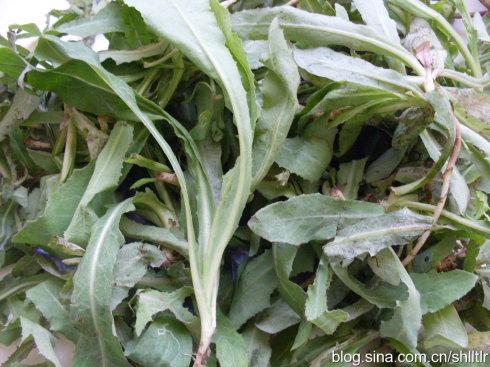 ���պ��������