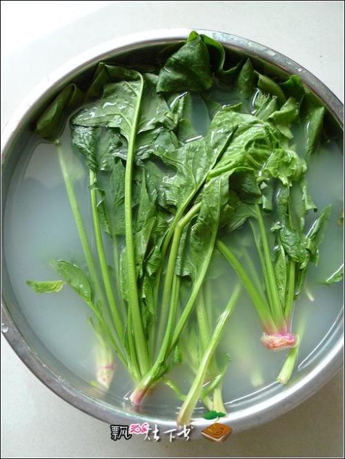 ��޷�����������