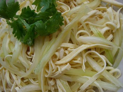 ���ǧ��˿������