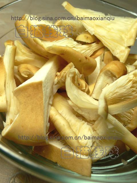 ���㹽��������������