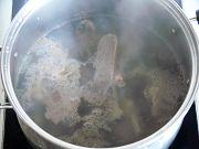 Ѽ�������������