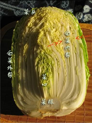 ���ɳ��ײ˵�����