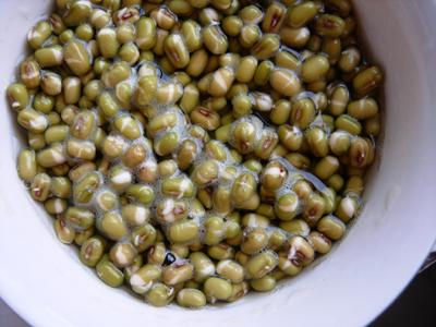 �س���ѿ������