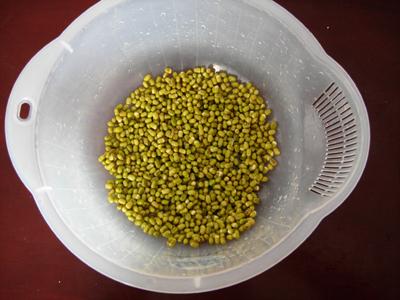 �س���ѿ������