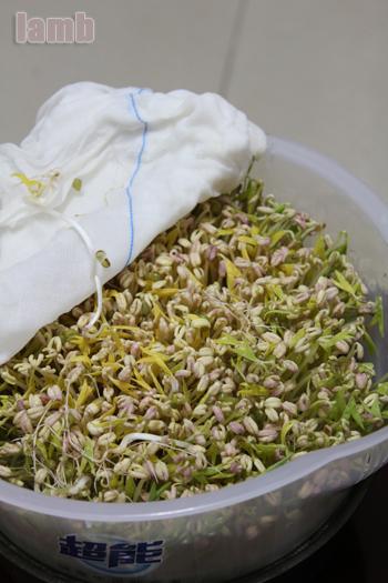 �س���ѿ������